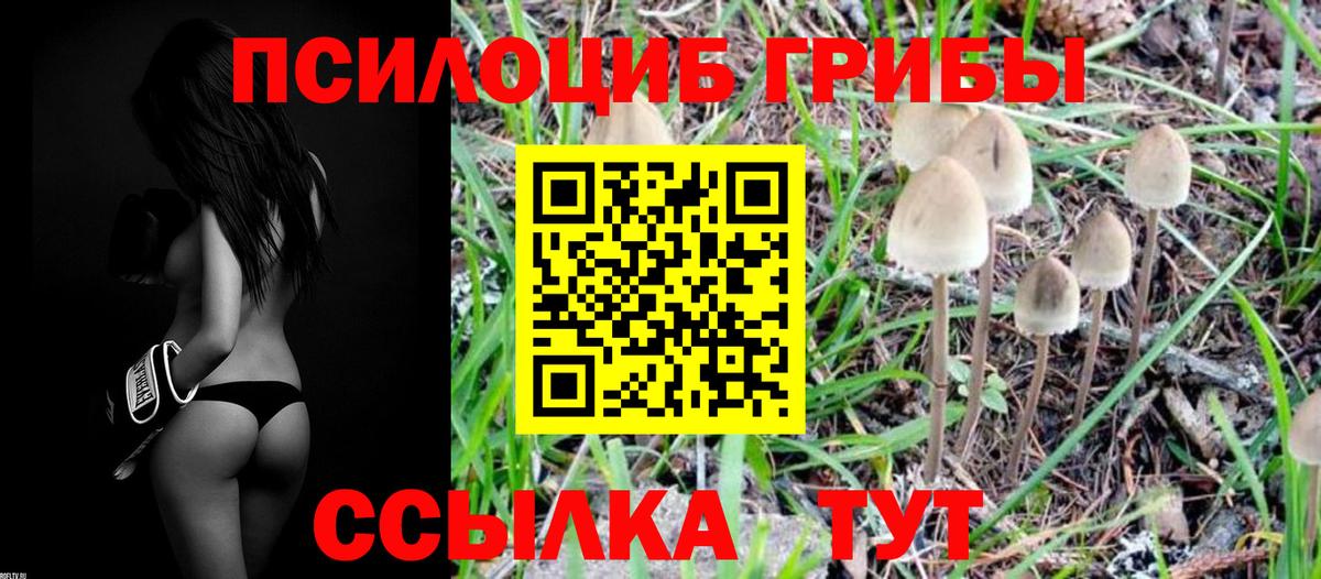 Псилоцибиновые грибы Psilocybine cubensis  Псилоцибиновые грибы Magic Shrooms  Вход с VPN  магазин  наркотиков  Видное 