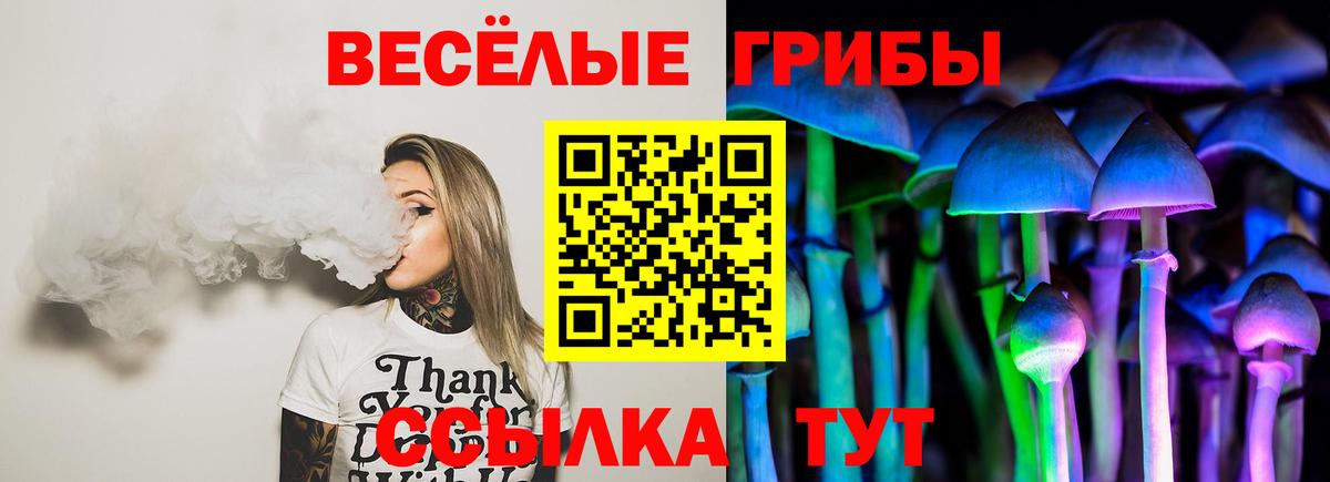 Галлюциногенные грибы Psilocybe Видное